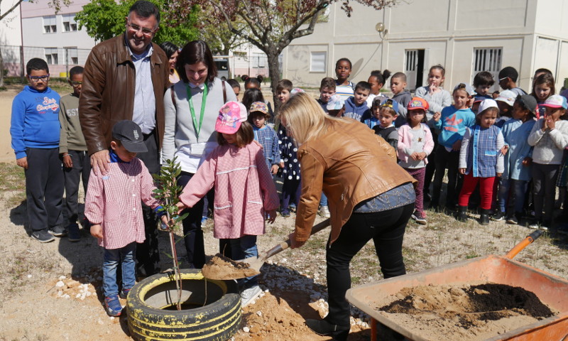 Dia Mundial da Árvore e da Floresta em Escolas de Corroios