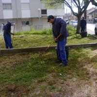 Remoção e corte de ervas