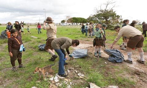 Ação de limpeza na Ponta dos Corvos