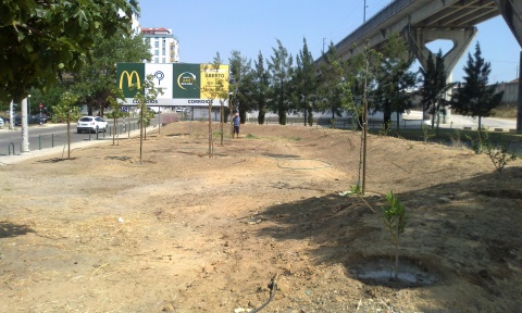 Novo espaço verde junto ao Mercado de Levante
