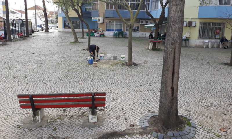Reparação de calçada na rua das Palmeiras
