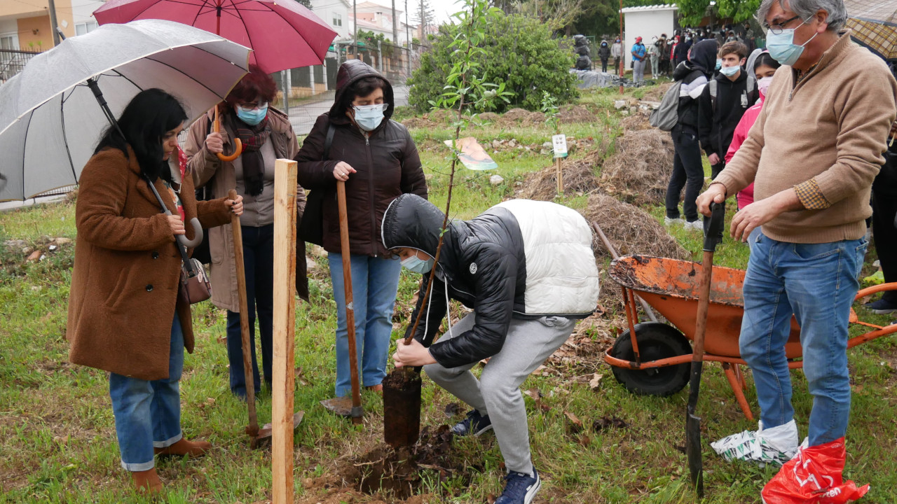 Alunos da EB23 de Corroios plantam árvores no recinto escolar