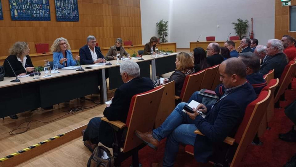 Apresentação da Diretora do Hospital Garcia de Horta ao Poder Local