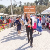 XXII Festival de Folclore